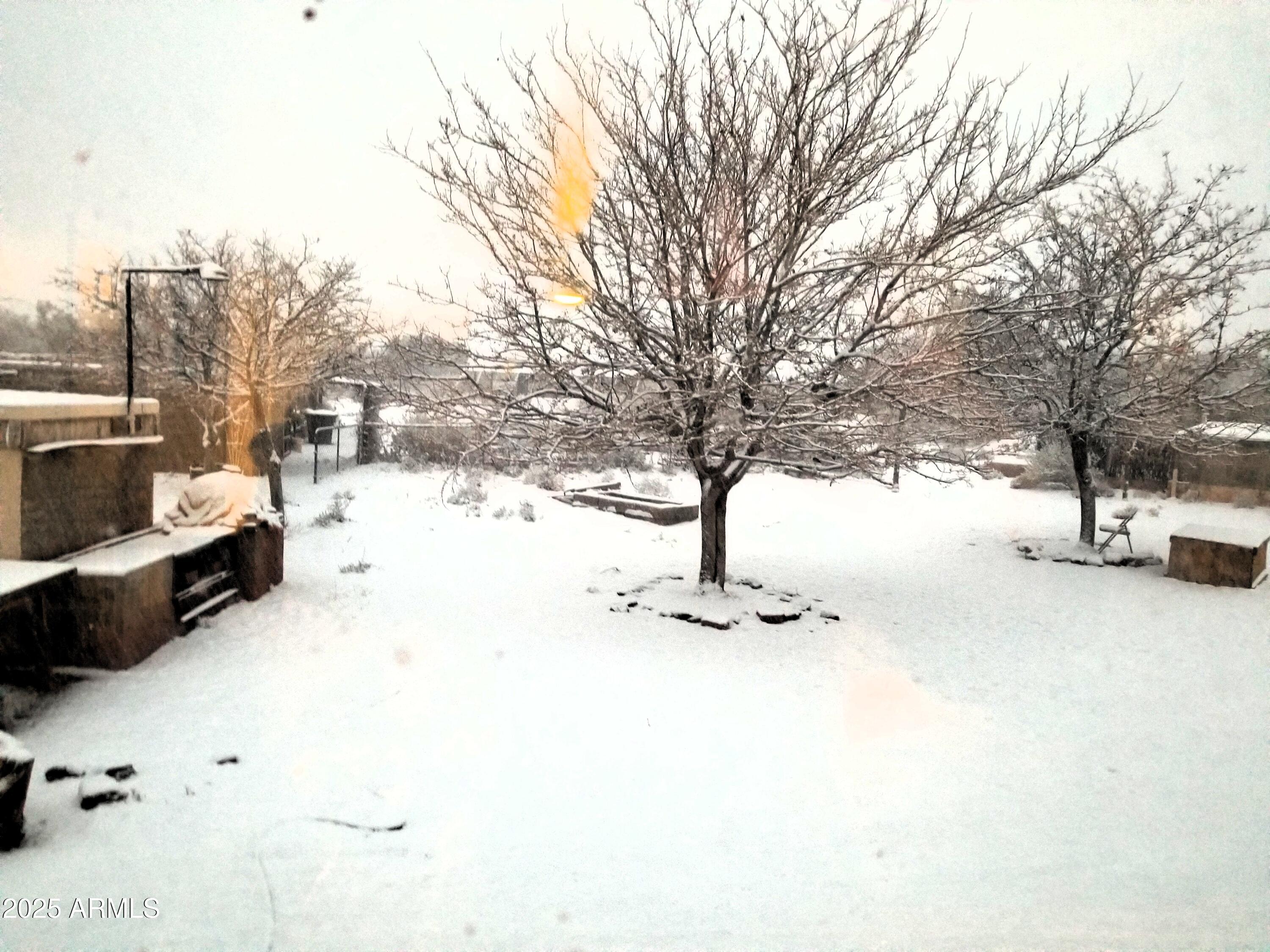 242 County Road Concho, AZ 85924 - Photo 39 of 63 a street view covered with snow