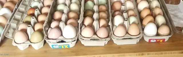 a view of a city with sunset