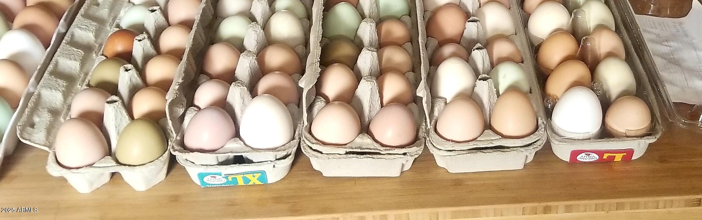 242 County Road Concho, AZ 85924 - Photo 41 of 63 a bathroom with a granite countertop and white sink