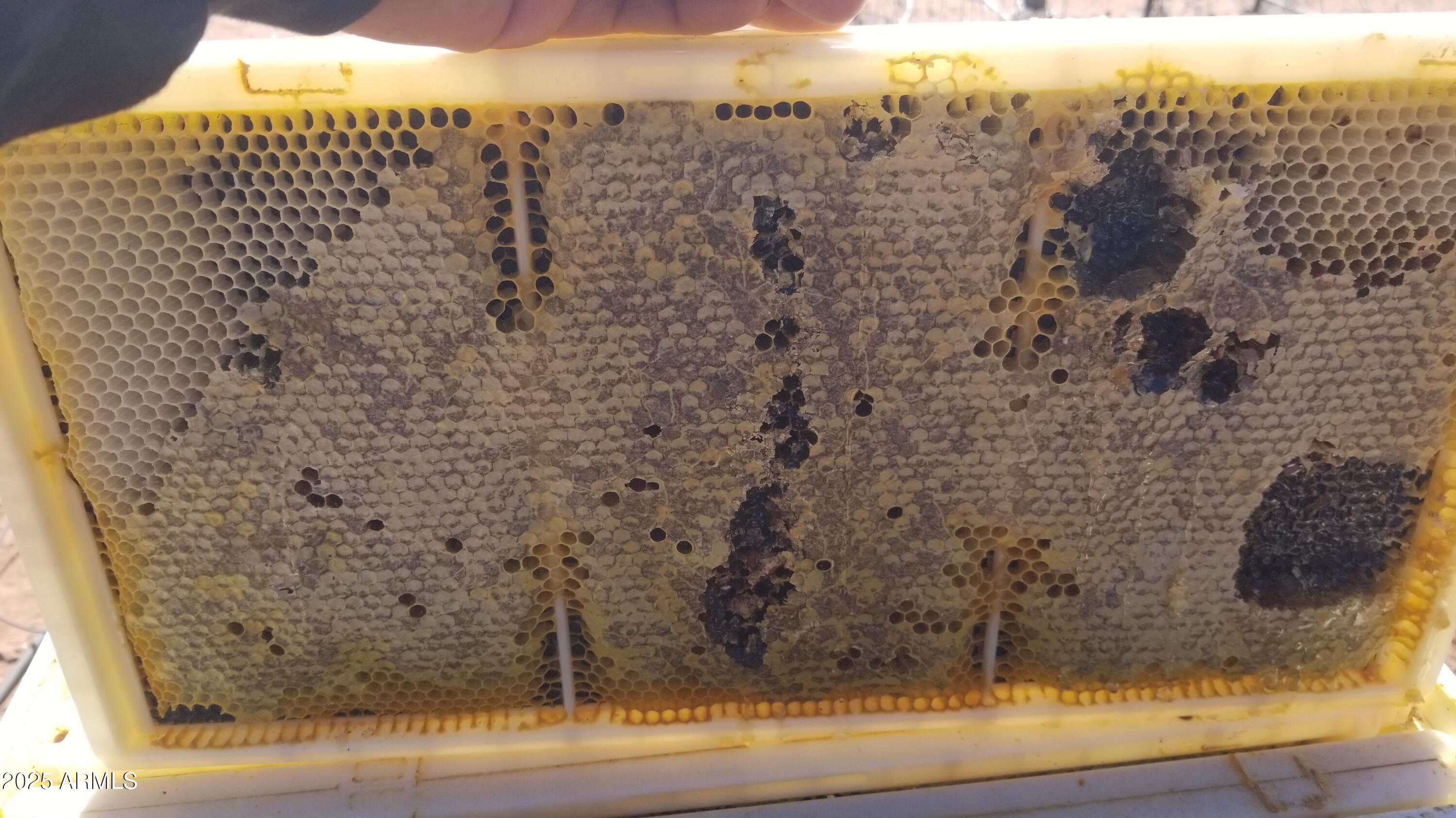 242 County Road Concho, AZ 85924 - Photo 42 of 63 a bathroom with a shower