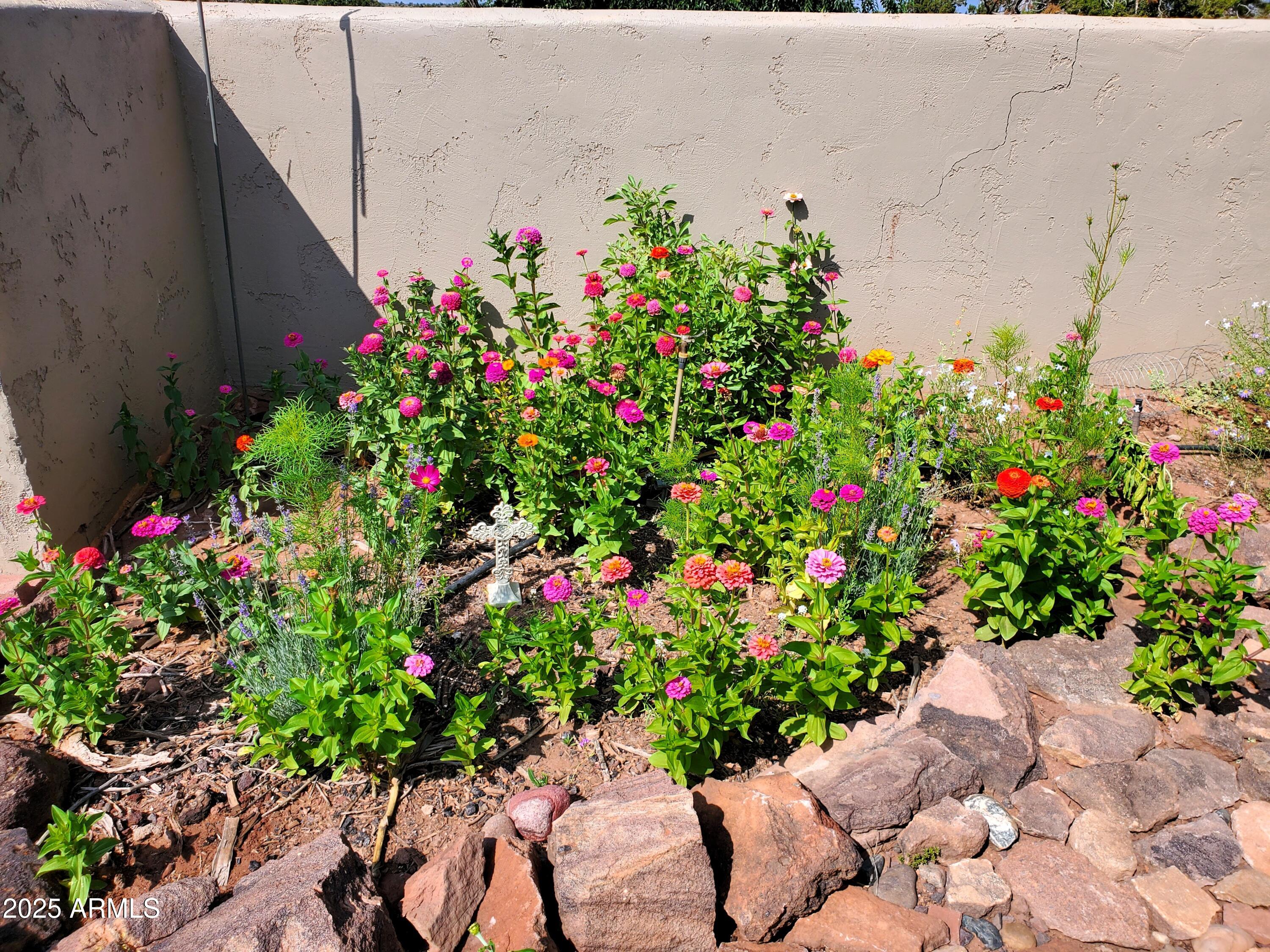 242 County Road Concho, AZ 85924 - Photo 43 of 63 a flower plants in front of flowers