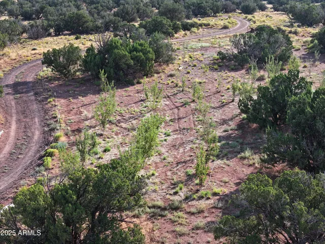 $475,000 | 242 County Road, Concho, AZ 85924