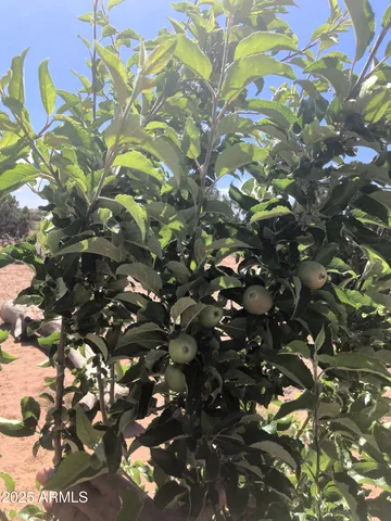 a view of outdoor space and covered with swimming pool
