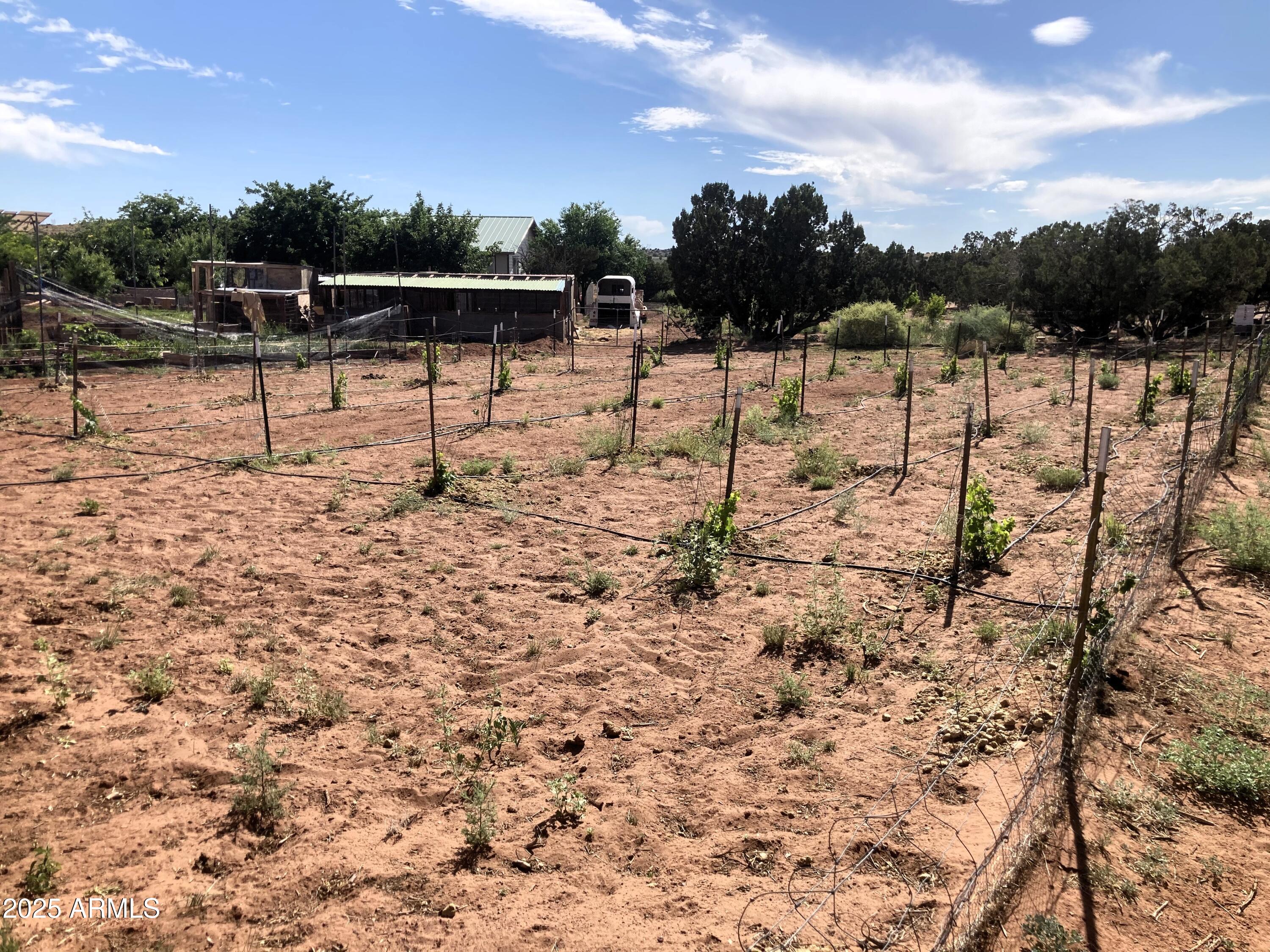 242 County Road Concho, AZ 85924 - Photo 54 of 63 a view of a yard with wooden fence