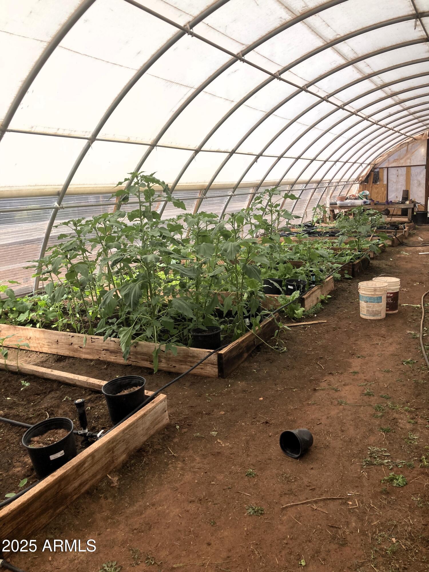 242 County Road Concho, AZ 85924 - Photo 57 of 63 a view of a street with a couple of cars parked on road