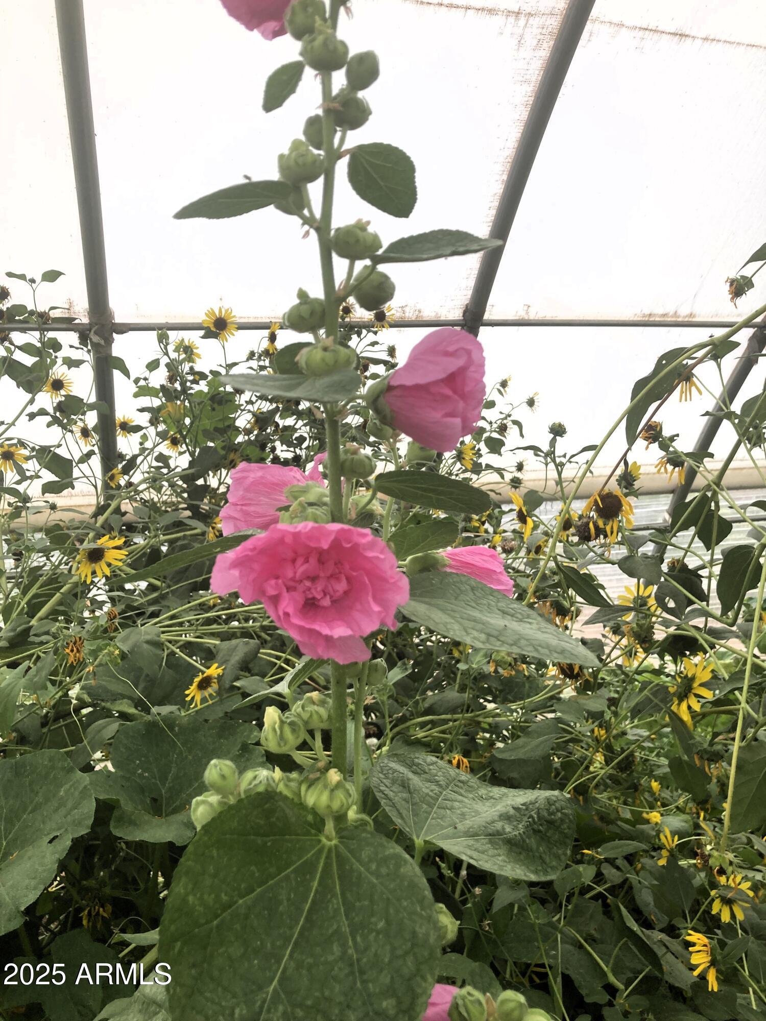 242 County Road Concho, AZ 85924 - Photo 59 of 63 a bathroom with a sink and mirror