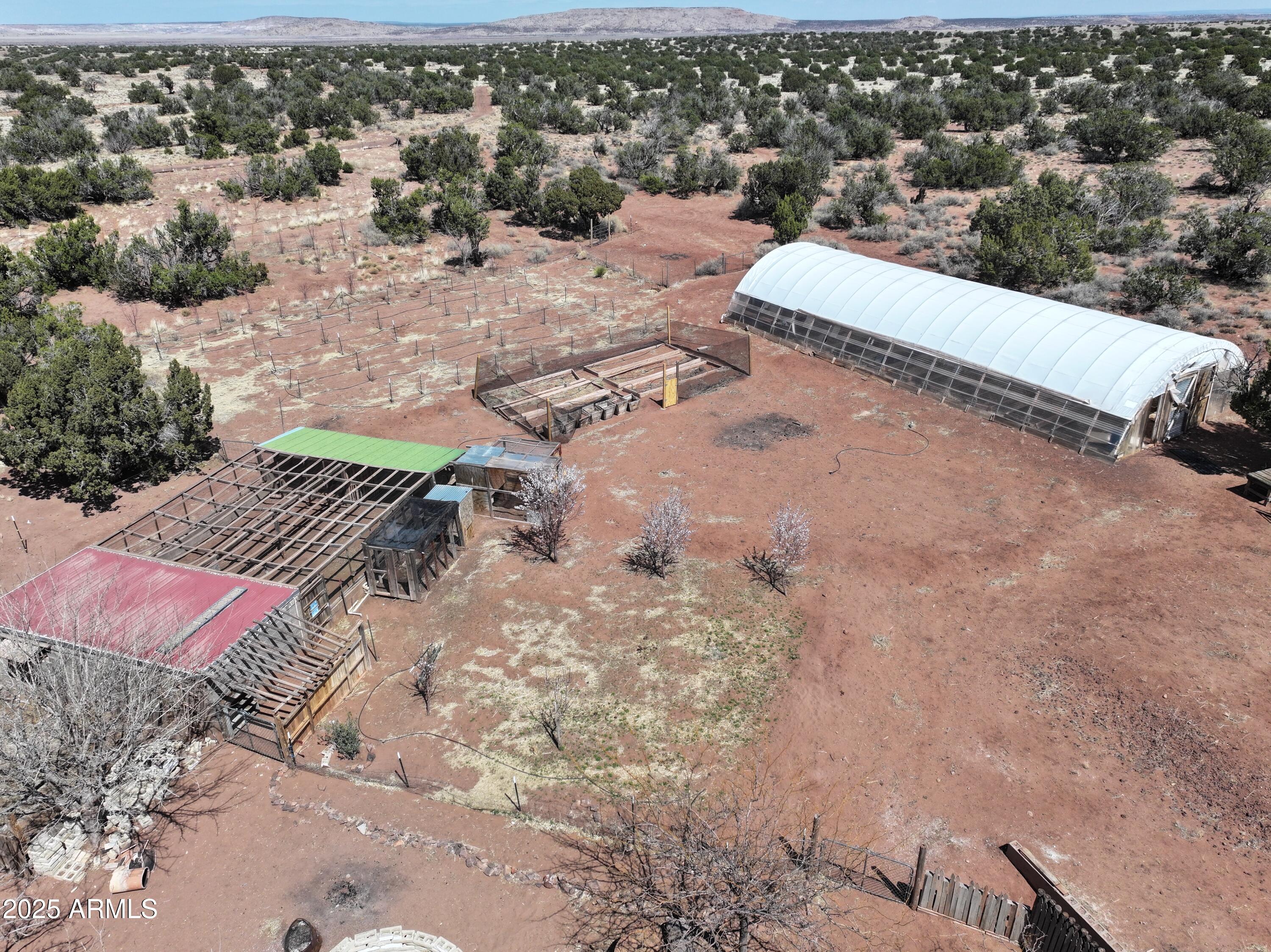 242 County Road Concho, AZ 85924 - Photo 62 of 63 a view of a backyard of a house