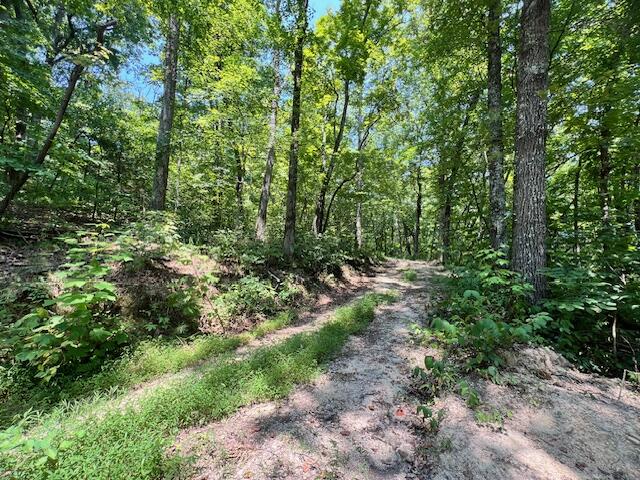 322 Baggett Road Ringgold, GA 30736 - Photo 11 of 18 IMG_1927