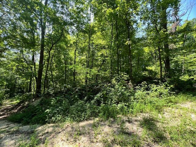 322 Baggett Road Ringgold, GA 30736 - Photo 12 of 18 IMG_1928