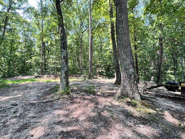 322 Baggett Road Ringgold, GA 30736 - Photo 14 of 18 IMG_1931