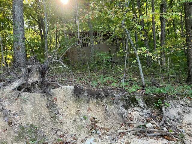 322 Baggett Road Ringgold, GA 30736 - Photo 18 of 18 tempImageNSx2YM