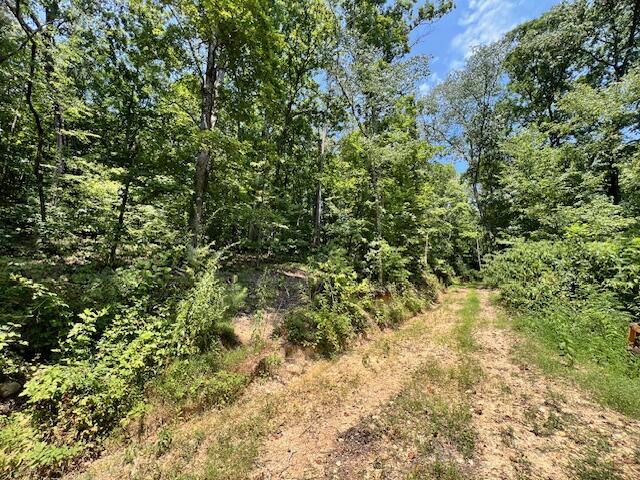 322 Baggett Road Ringgold, GA 30736 - Photo 9 of 18 IMG_1925