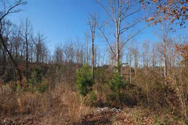 1204 Richard Road Dothan, AL 36301 - Photo 10 of 15
