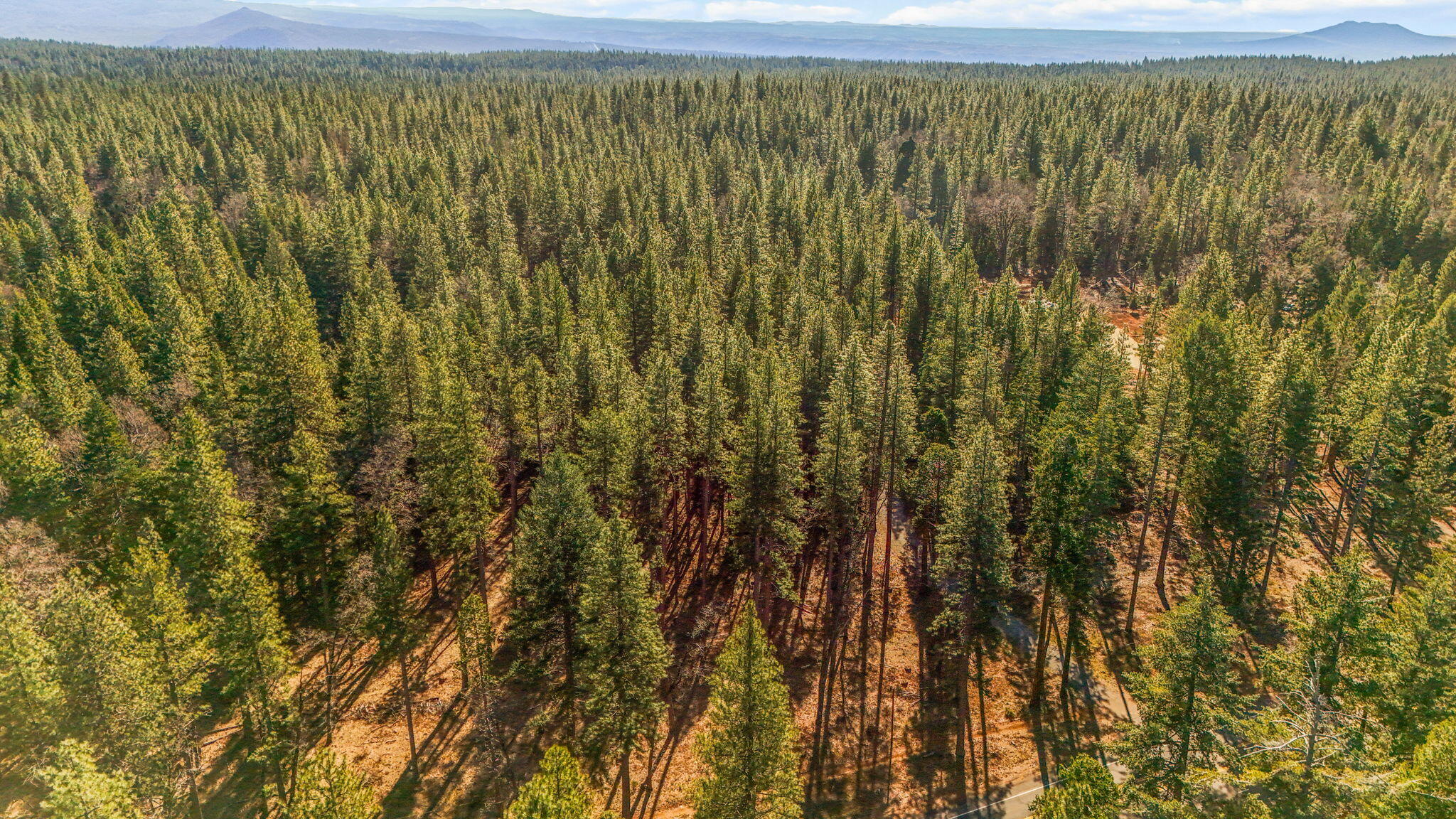 32833 Highway 44 Shingletown, CA 96088 - Photo 43 of 51 9-web-or-mls-DJI_20260205125847_0043_D