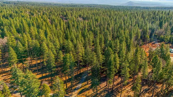 $875,000 | 32833 Highway 44, Shingletown, CA 96088