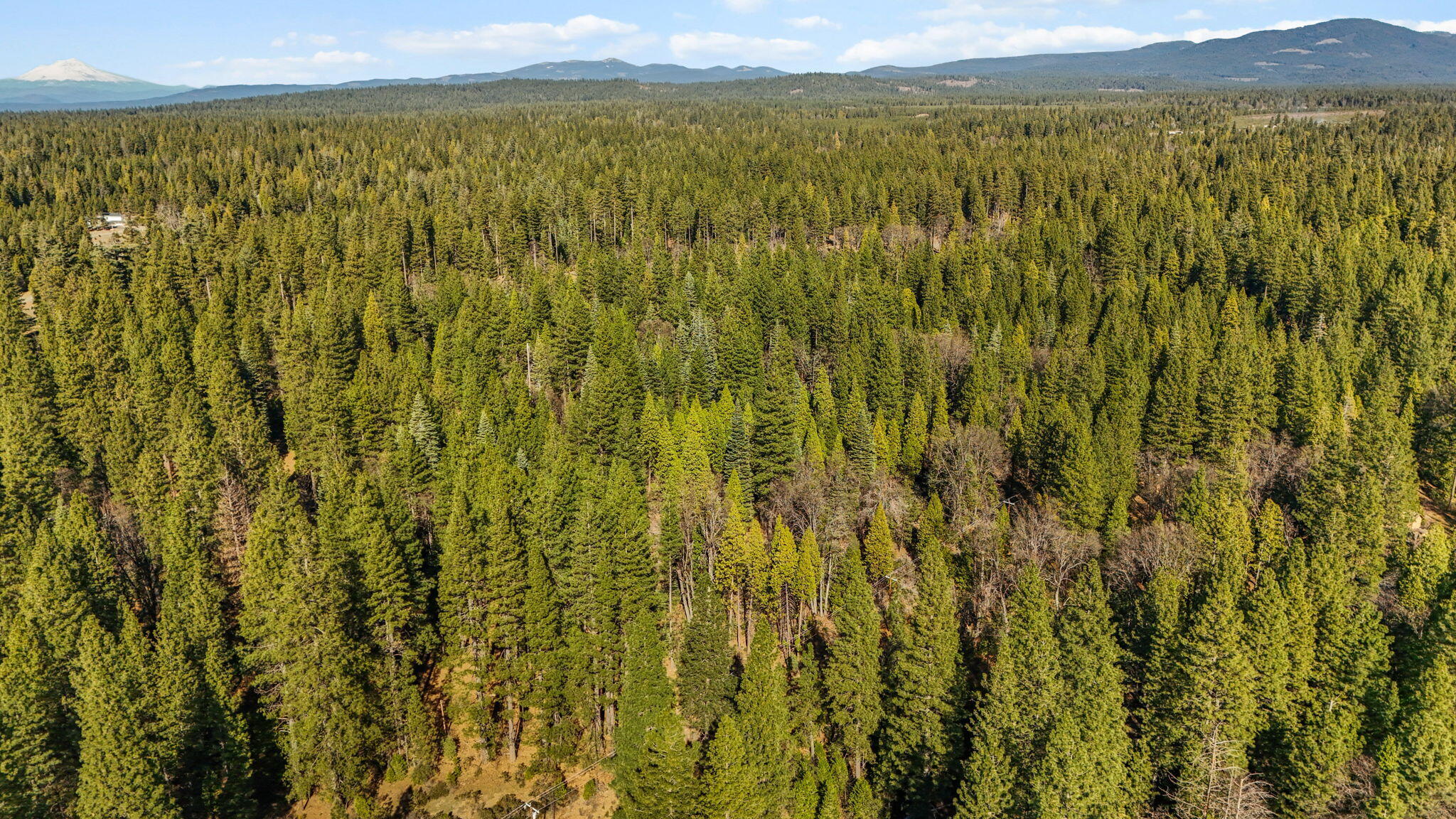 32833 Highway 44 Shingletown, CA 96088 - Photo 45 of 51 6-web-or-mls-DJI_20260205125633_0030_D