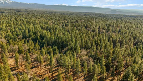 $875,000 | 32833 Highway 44, Shingletown, CA 96088