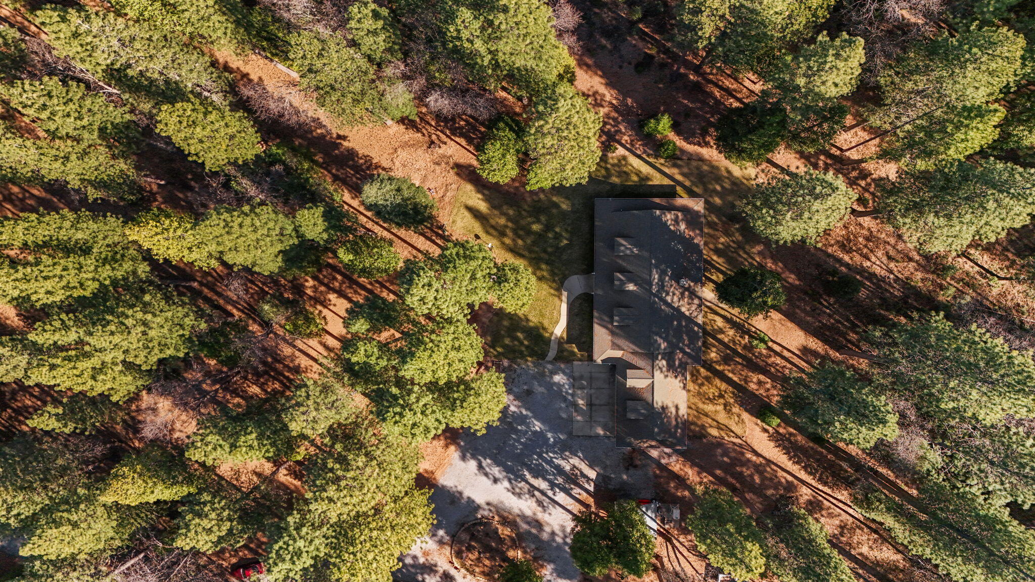 32833 Highway 44 Shingletown, CA 96088 - Photo 49 of 51 2-web-or-mls-DJI_20260205125350_0010_D_1