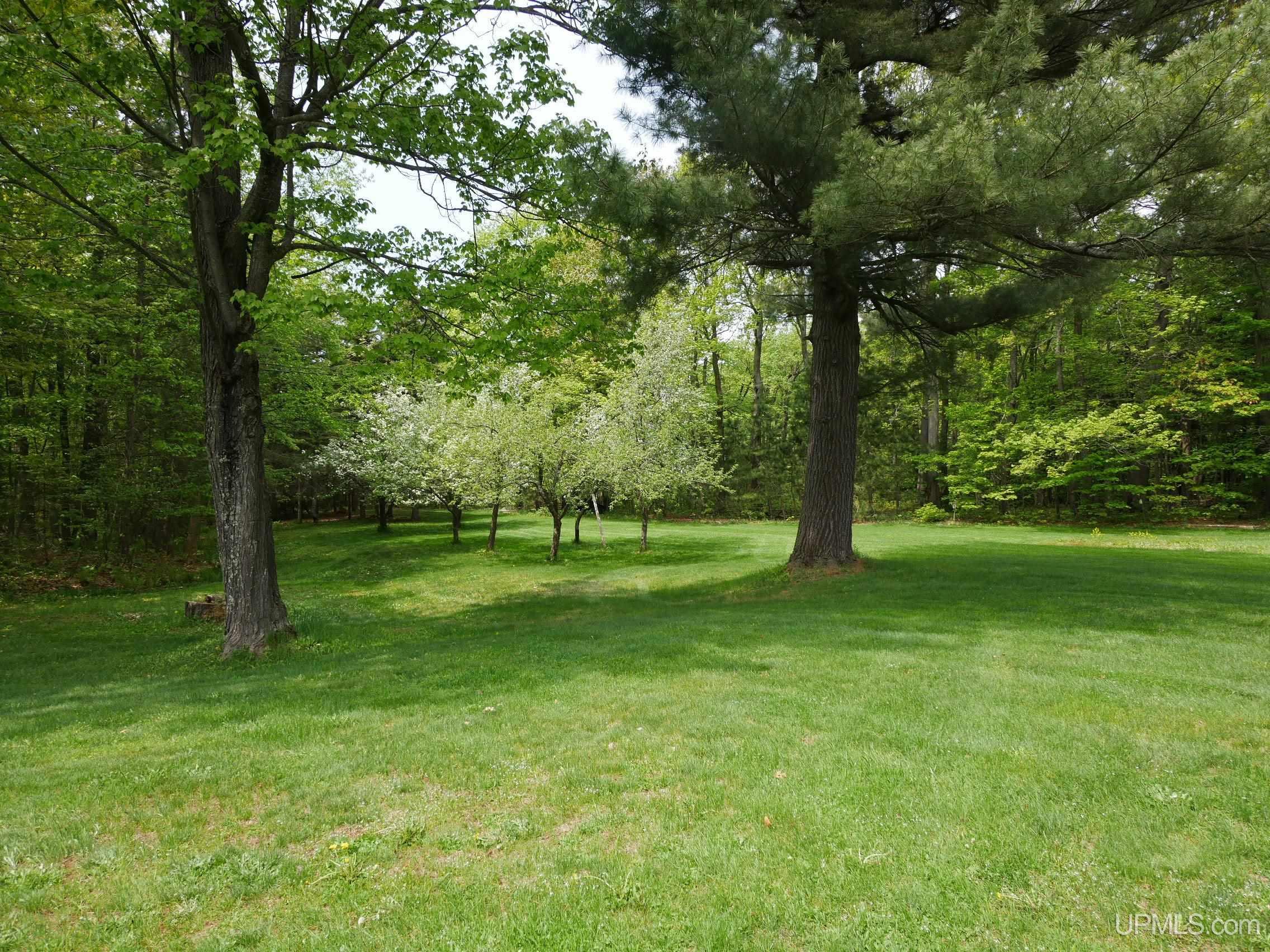 26514 Hendrickson Road Calumet, MI 49913 - Photo 57 of 69 Gallery Image 57