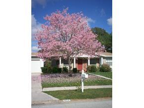 930 Kings Post Road Rockledge, FL 32955 - Photo 12 of 12 Additional Photo