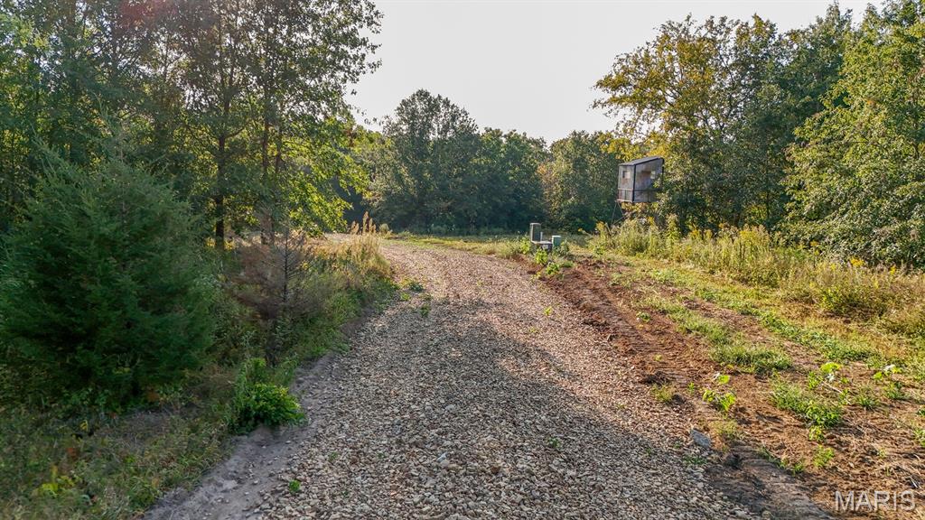 7 Washington Perry, MO 63462 - Photo 1 of 33