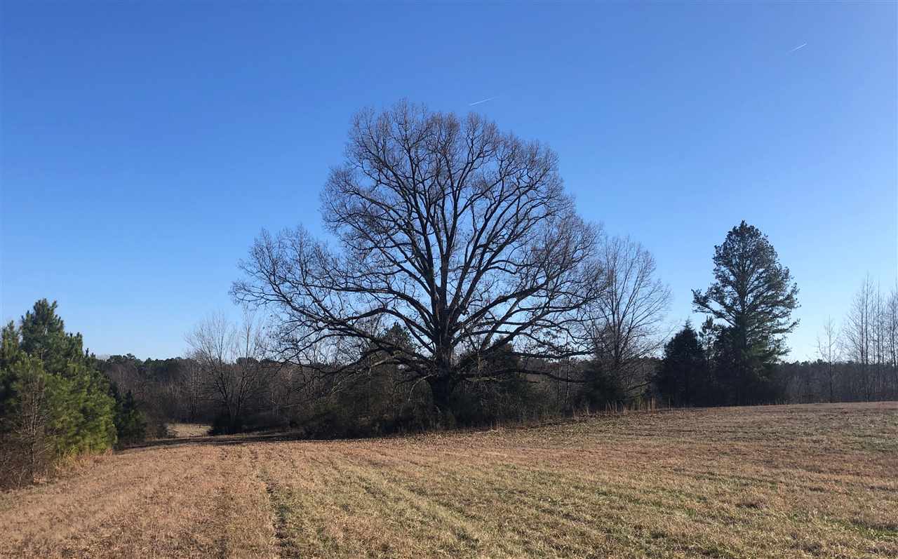 4060 Peavine Road Middleton, TN 38052 - Photo 1 of 5 Gallery Image 1