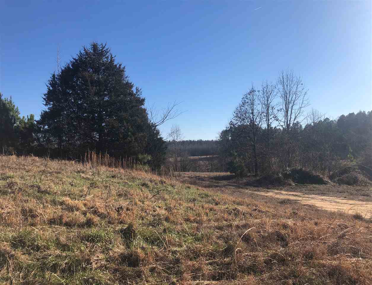 4060 Peavine Road Middleton, TN 38052 - Photo 2 of 5 Gallery Image 2