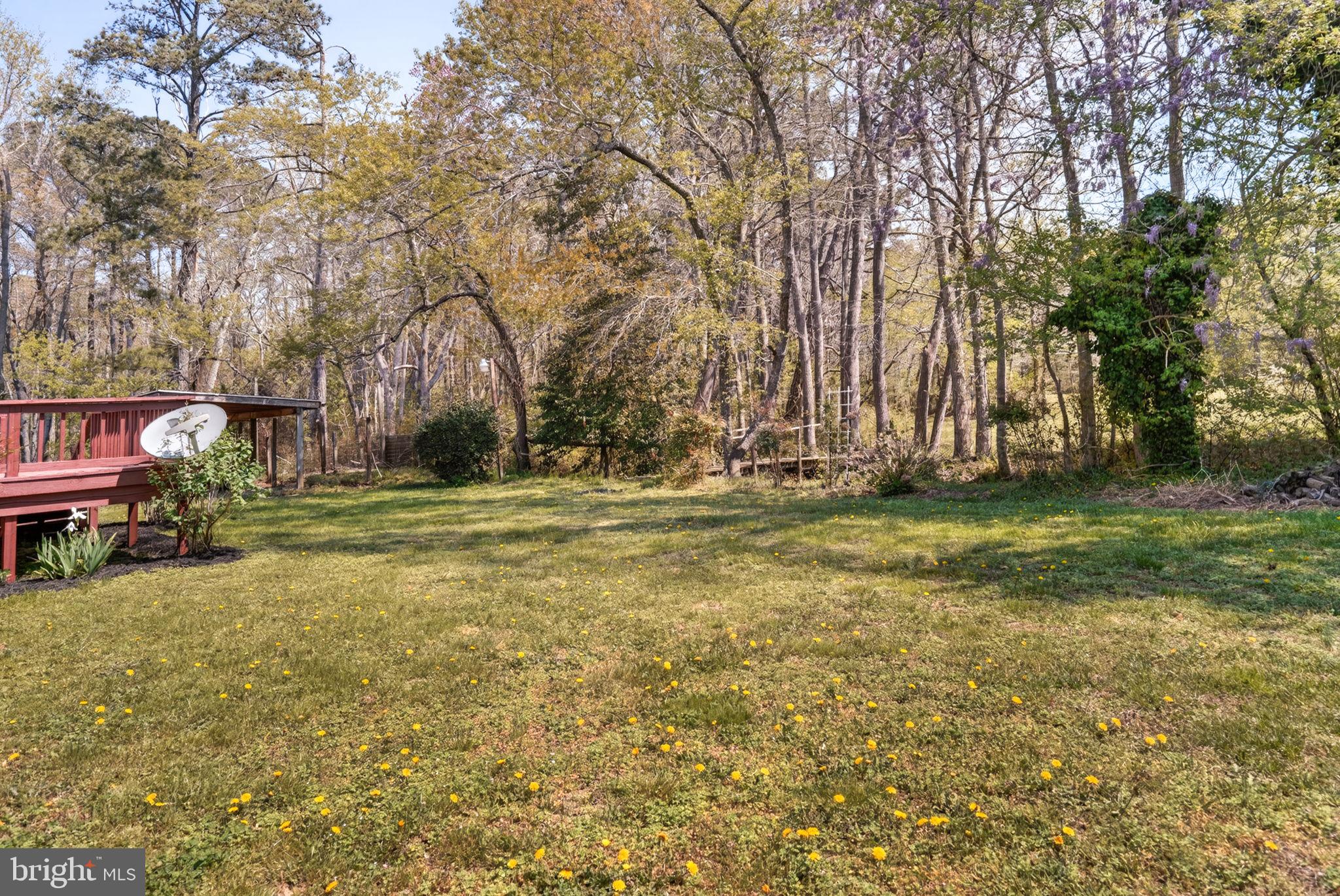 14123 Winterville Road Bloxom, VA 23308 - Photo 48 of 84