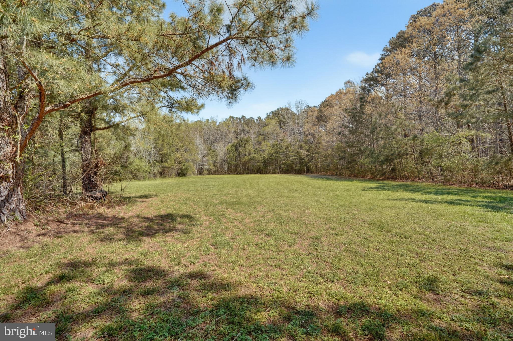 14123 Winterville Road Bloxom, VA 23308 - Photo 50 of 84