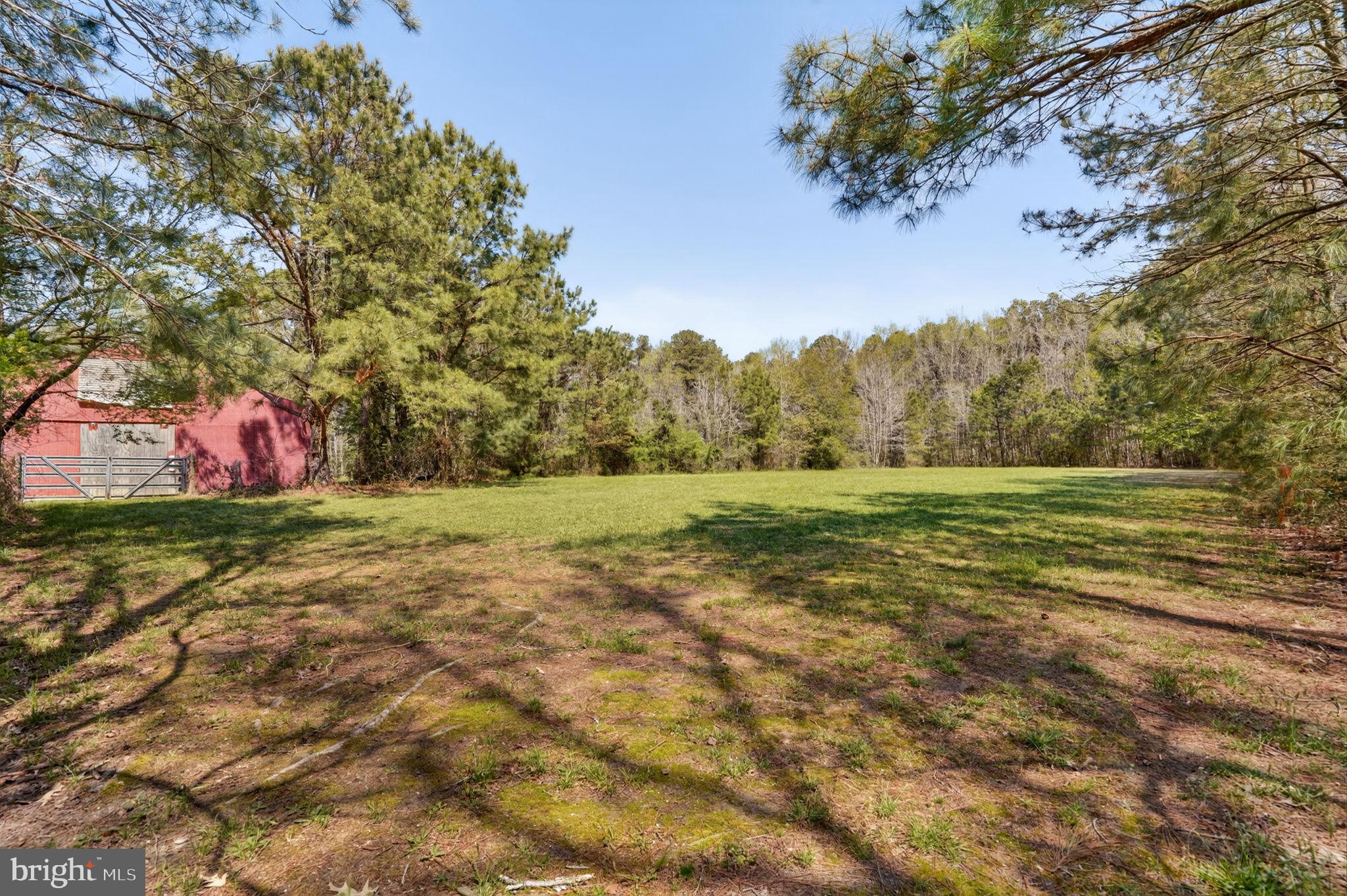 14123 Winterville Road Bloxom, VA 23308 - Photo 51 of 84