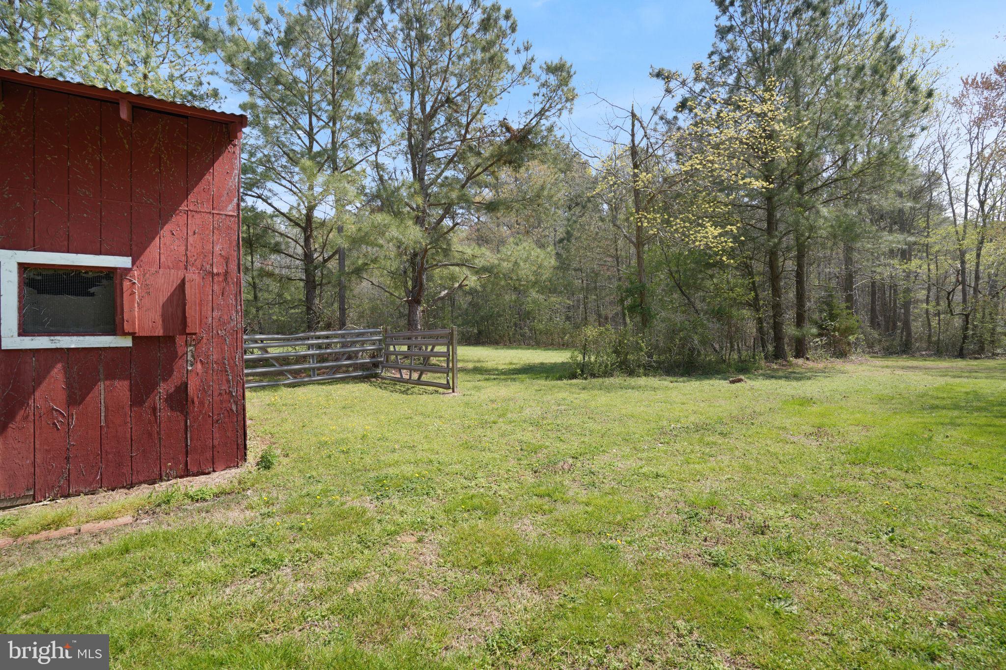 14123 Winterville Road Bloxom, VA 23308 - Photo 52 of 84 a view of yard with swimming pool and trees