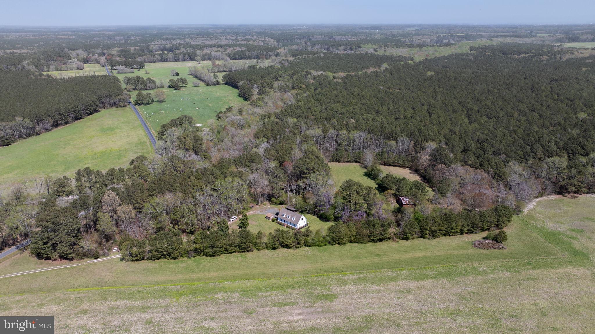 14123 Winterville Road Bloxom, VA 23308 - Photo 64 of 84