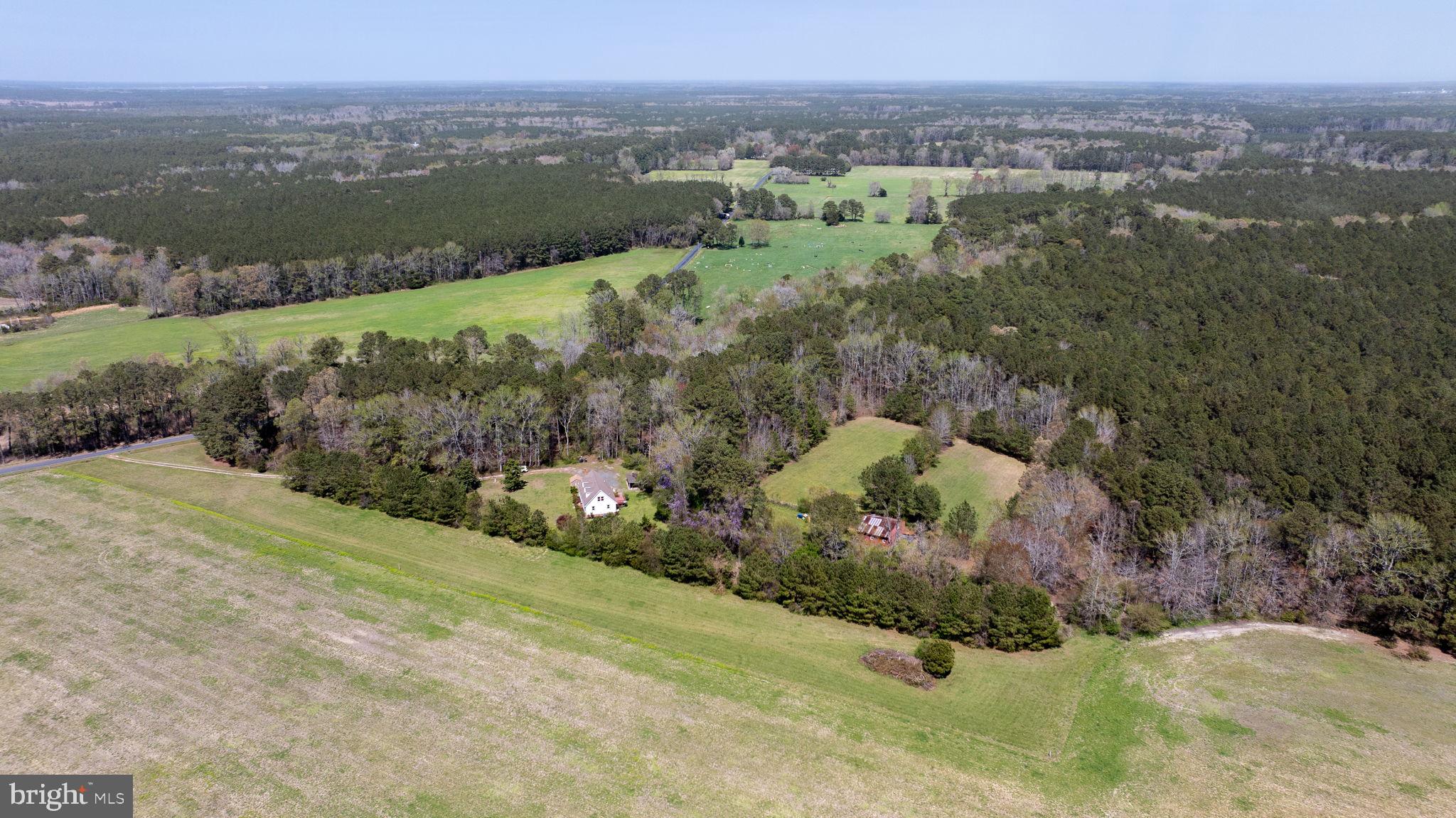 14123 Winterville Road Bloxom, VA 23308 - Photo 66 of 84 an aerial view of green landscape with trees houses and mountain view