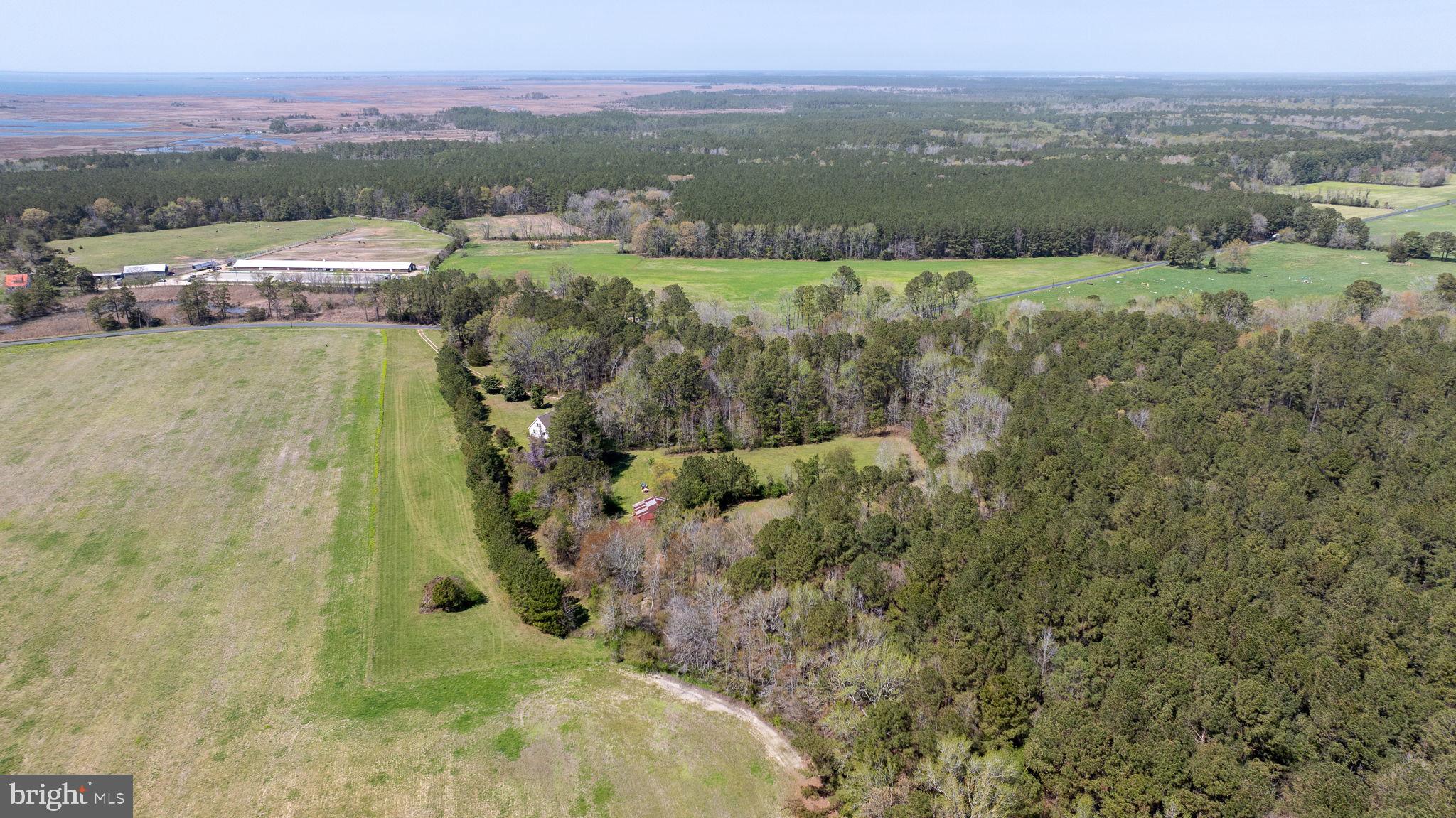14123 Winterville Road Bloxom, VA 23308 - Photo 68 of 84