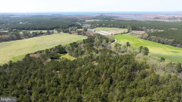 $398,000 | 14123 Winterville Road, Bloxom, VA 23308