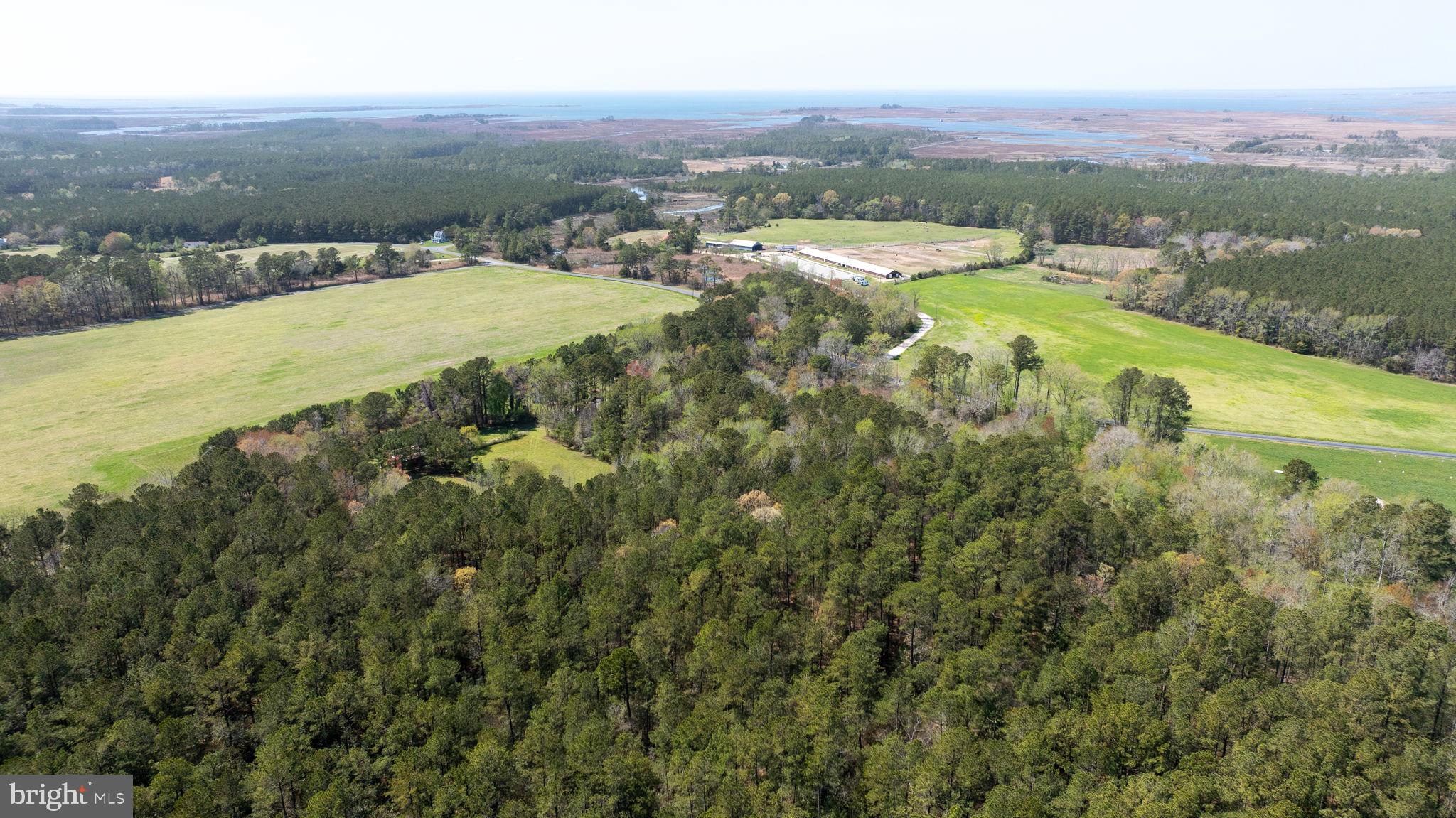 14123 Winterville Road Bloxom, VA 23308 - Photo 69 of 84 a view of a city with mountains in the background