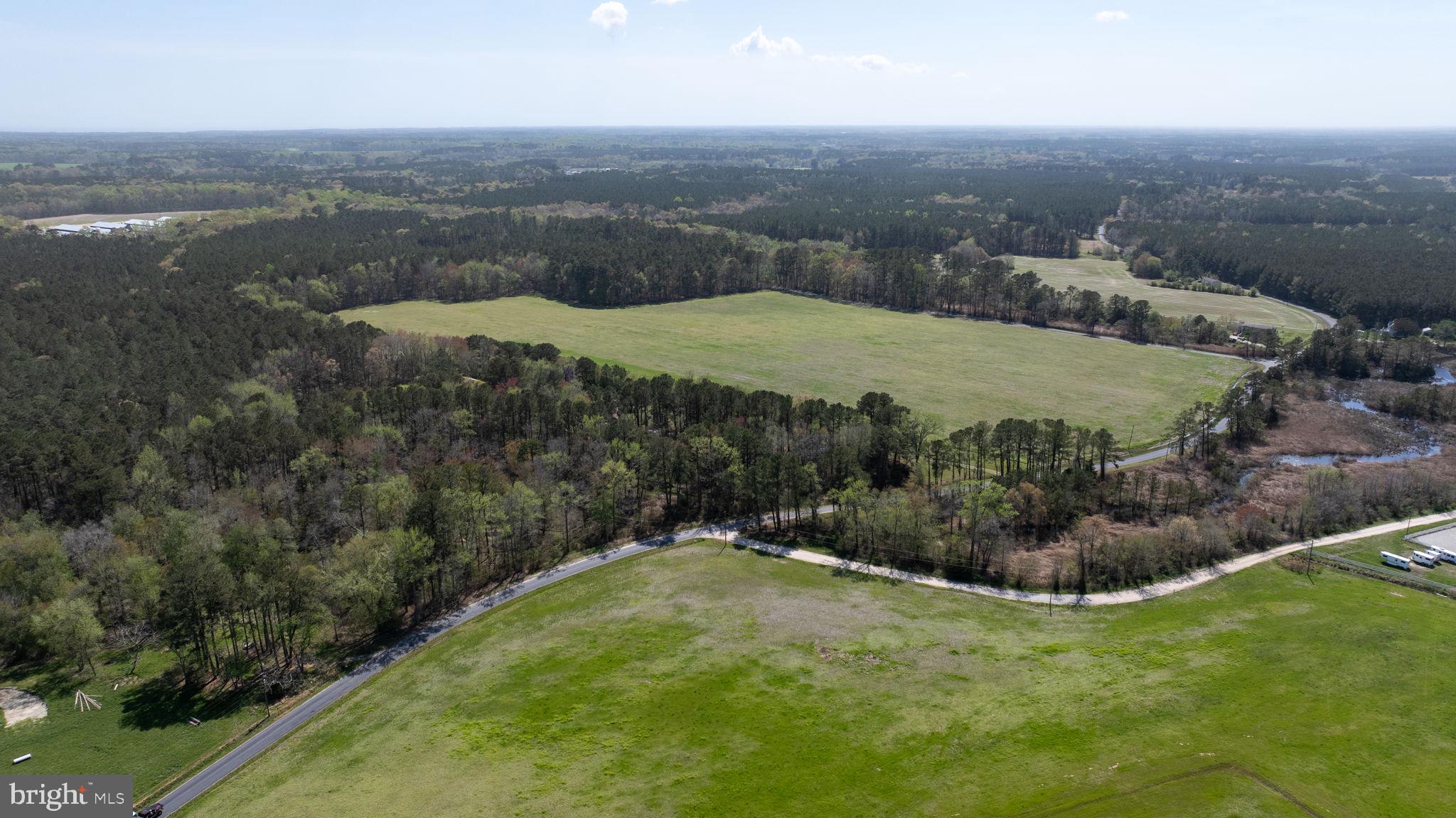 14123 Winterville Road Bloxom, VA 23308 - Photo 70 of 84 an aerial view of residential houses with outdoor space and trees