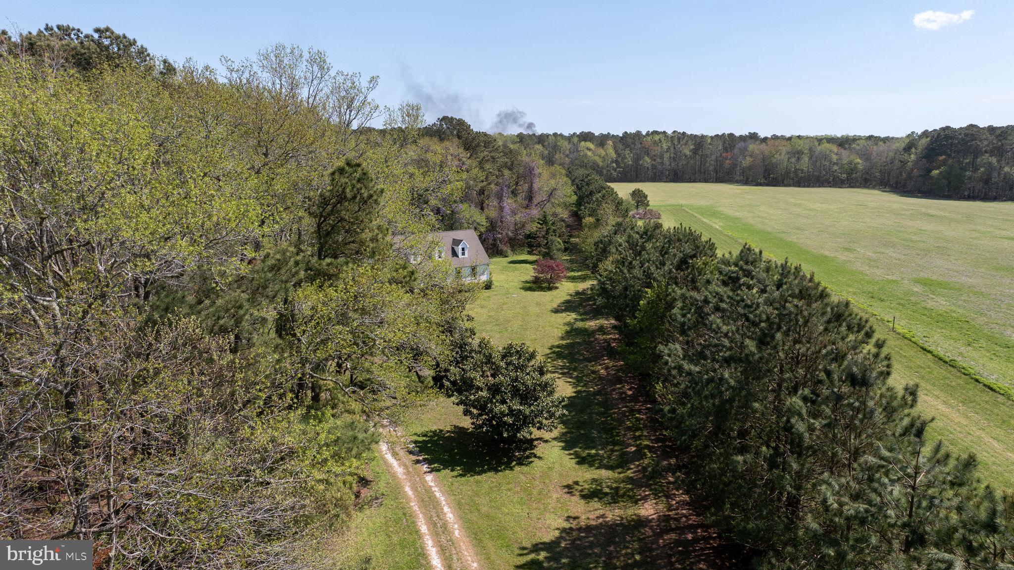 14123 Winterville Road Bloxom, VA 23308 - Photo 72 of 84