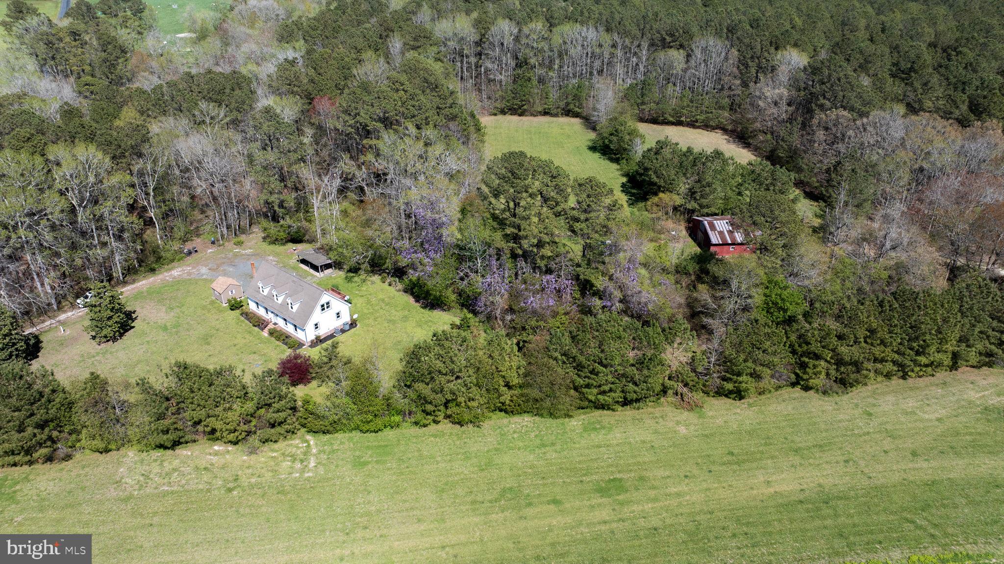 14123 Winterville Road Bloxom, VA 23308 - Photo 81 of 84 a view of outdoor space and yard