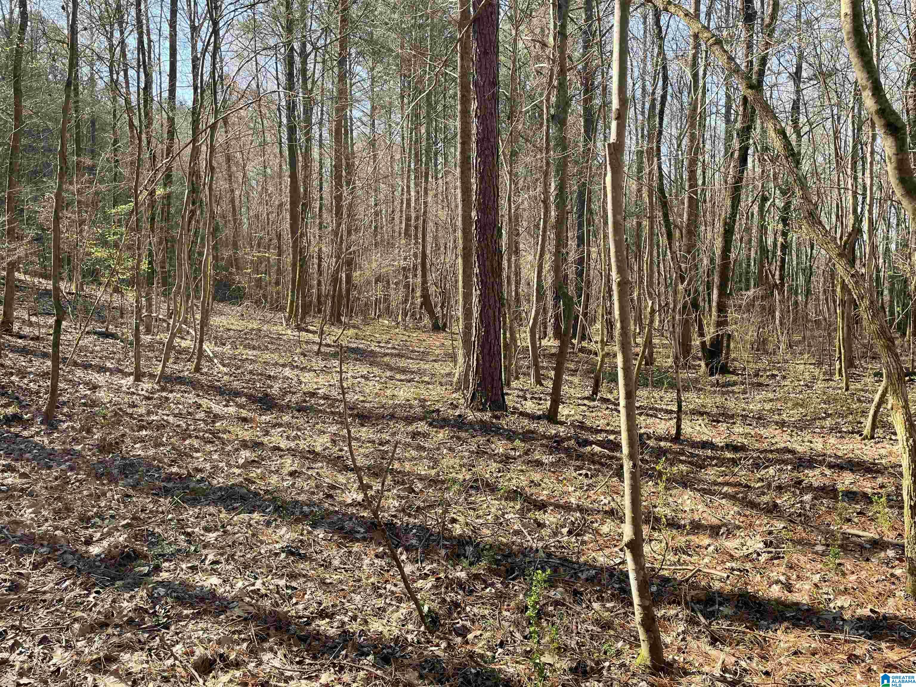 0 County Road 159, Unit 79 AC Heflin, AL 36264 - Photo 6 of 14