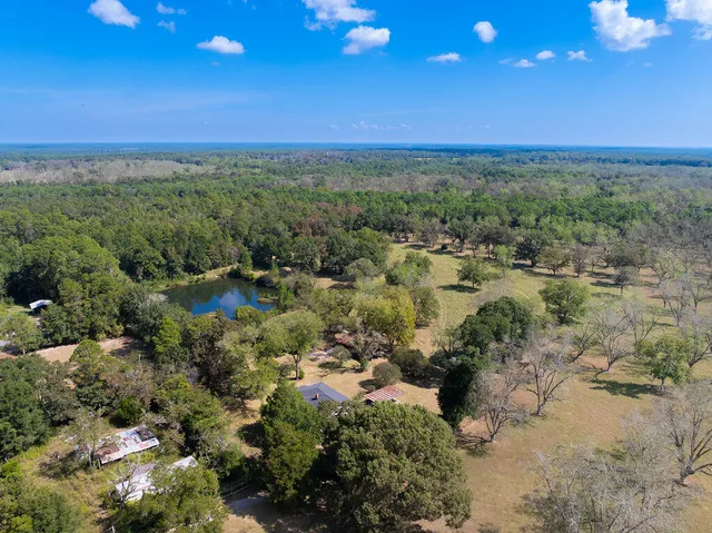 a view of a city with green space