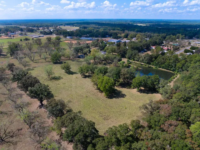 a view of a city with mountains in the background