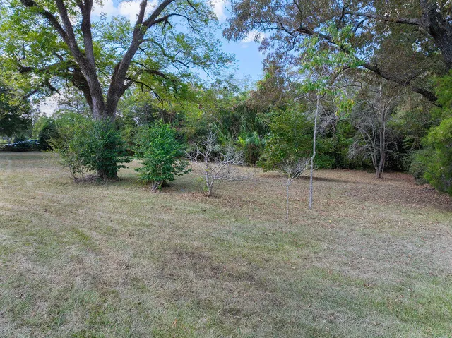 a view of an outdoor space with trees
