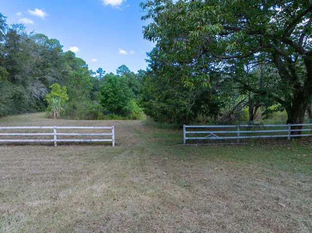 a view of a bench in a park