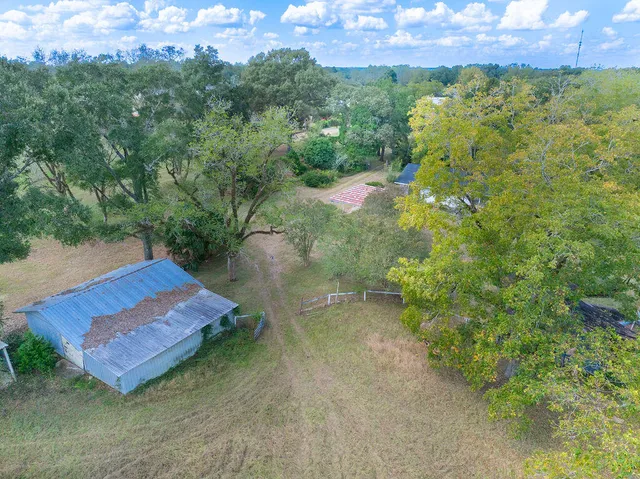 a view of a yard with a tree