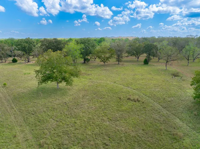 a view of a field with an ocean