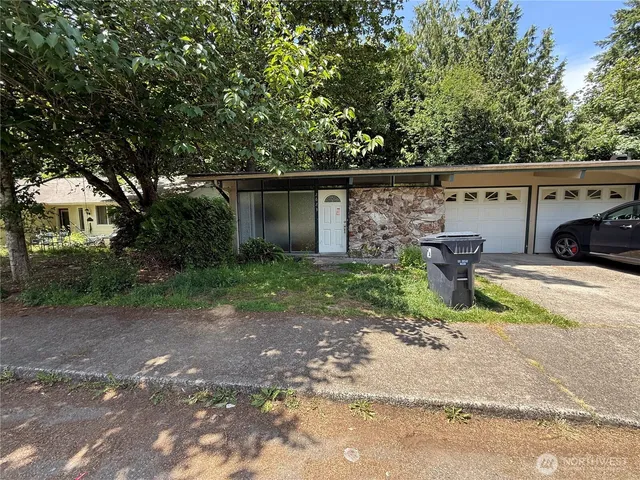 a view of a backyard with plants and large trees