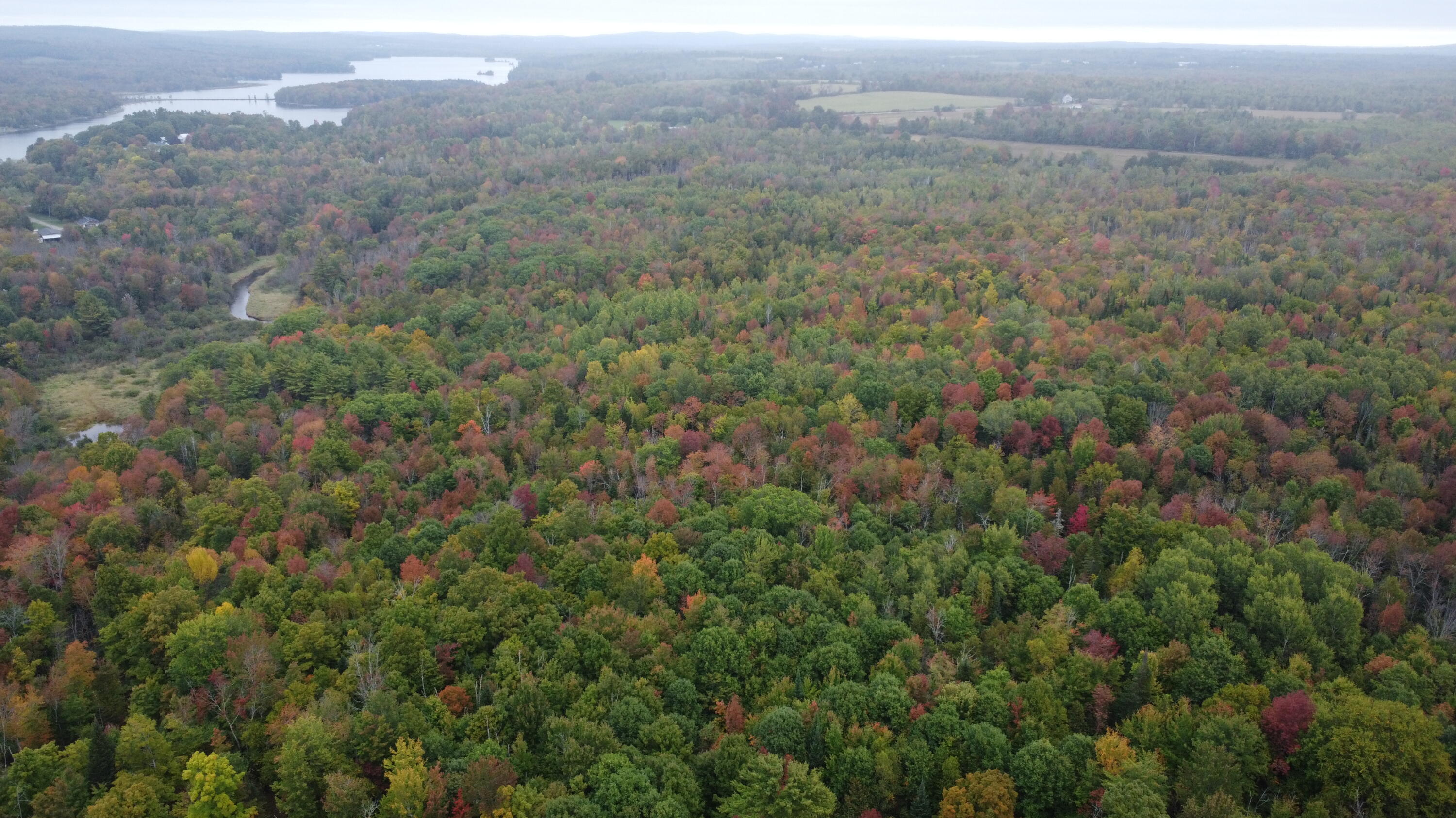 M6-l22c Stage Road St. Albans, ME 04971 - Photo 5 of 13 dji_fly_20250925_112946_251_175881421914