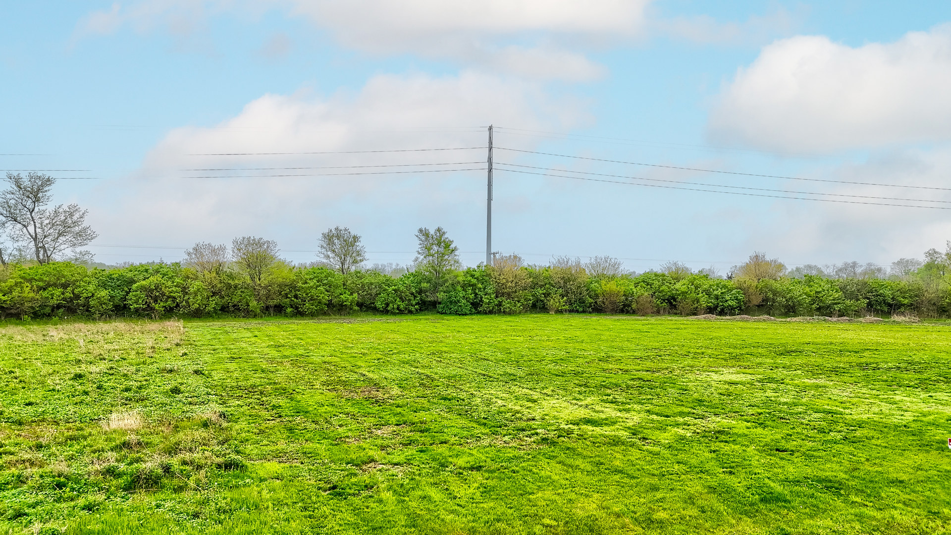 a view of a field with an ocean