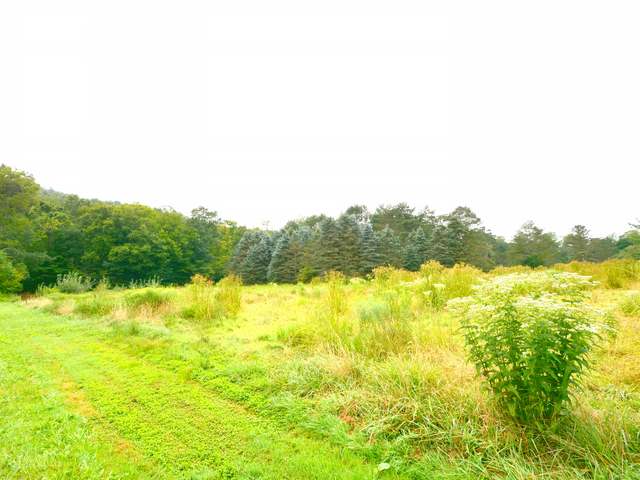 2317 Jackson Run Road Warren, PA 16365 - Photo 25 of 32 Gallery Image 25